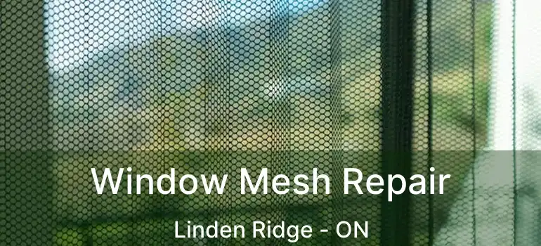  Window Mesh Repair Linden Ridge - ON