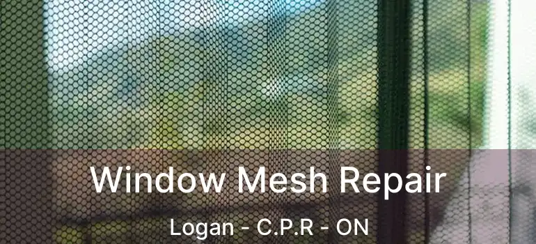  Window Mesh Repair Logan - C.P.R - ON