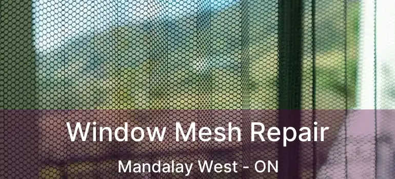  Window Mesh Repair Mandalay West - ON