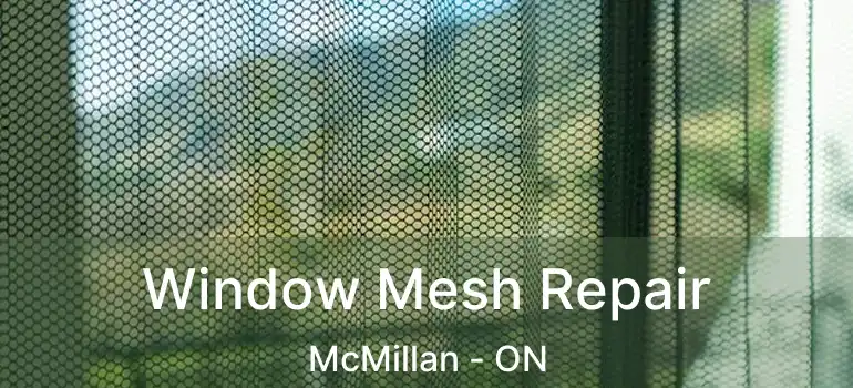  Window Mesh Repair McMillan - ON