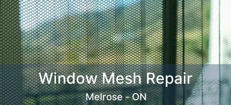  Window Mesh Repair Melrose - ON