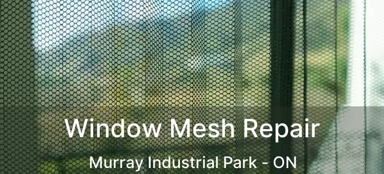  Window Mesh Repair Murray Industrial Park - ON