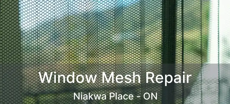 Window Mesh Repair Niakwa Place - ON