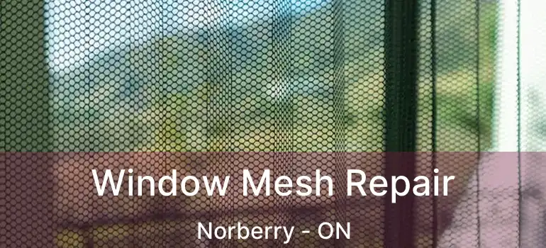  Window Mesh Repair Norberry - ON