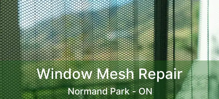  Window Mesh Repair Normand Park - ON