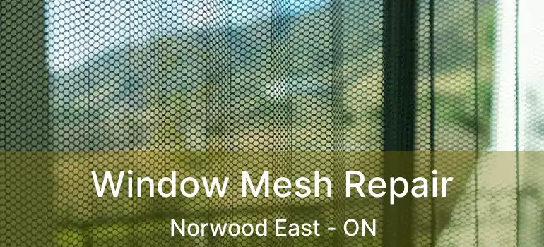  Window Mesh Repair Norwood East - ON