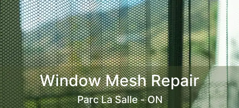  Window Mesh Repair Parc La Salle - ON