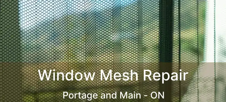  Window Mesh Repair Portage and Main - ON