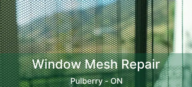  Window Mesh Repair Pulberry - ON