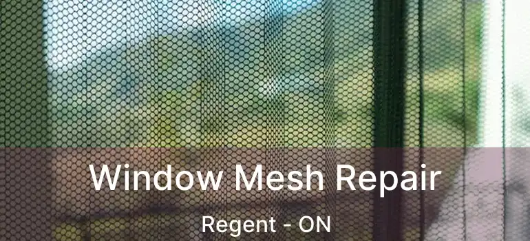  Window Mesh Repair Regent - ON
