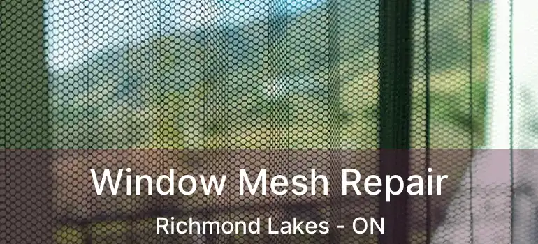  Window Mesh Repair Richmond Lakes - ON