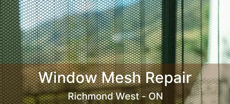  Window Mesh Repair Richmond West - ON