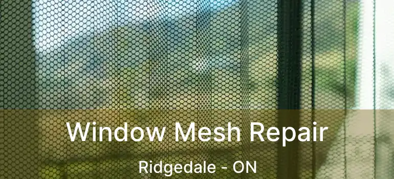  Window Mesh Repair Ridgedale - ON