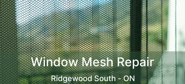  Window Mesh Repair Ridgewood South - ON
