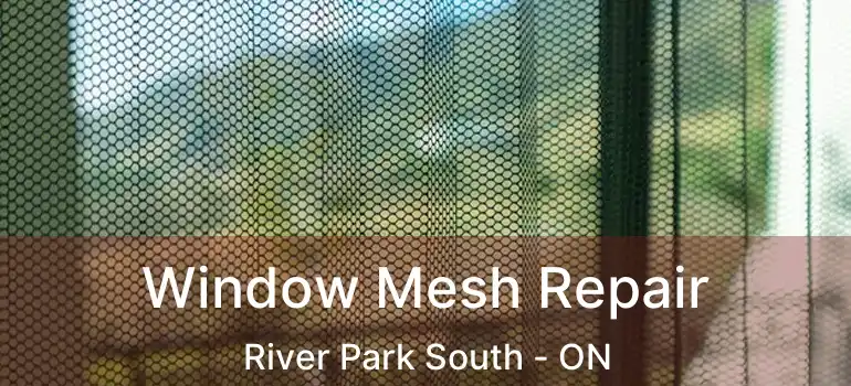  Window Mesh Repair River Park South - ON