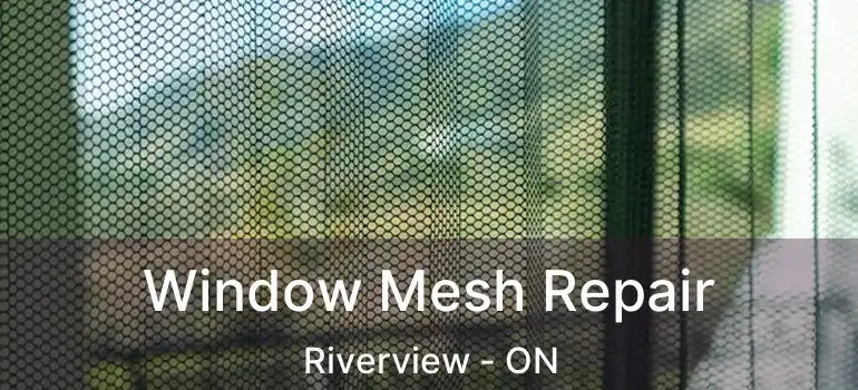  Window Mesh Repair Riverview - ON