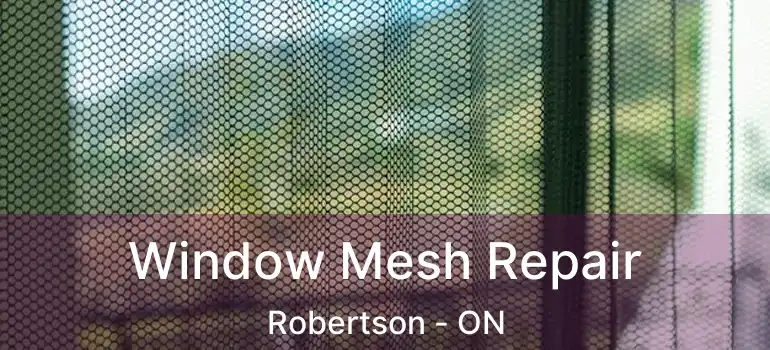  Window Mesh Repair Robertson - ON