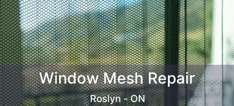  Window Mesh Repair Roslyn - ON