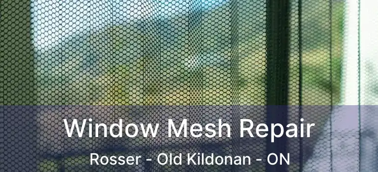  Window Mesh Repair Rosser - Old Kildonan - ON