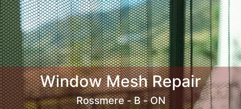  Window Mesh Repair Rossmere - B - ON