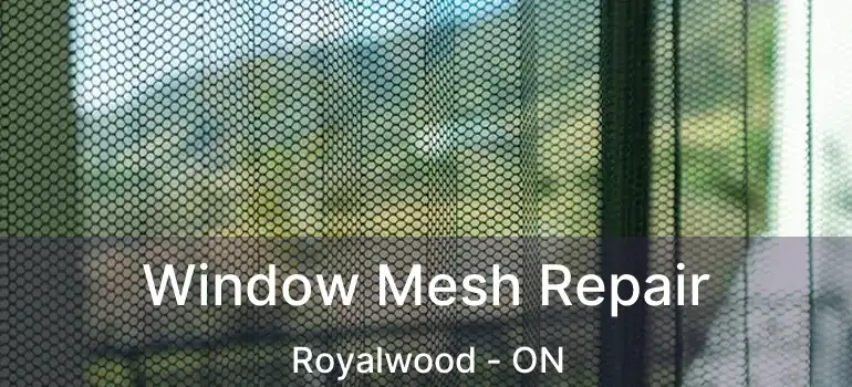  Window Mesh Repair Royalwood - ON