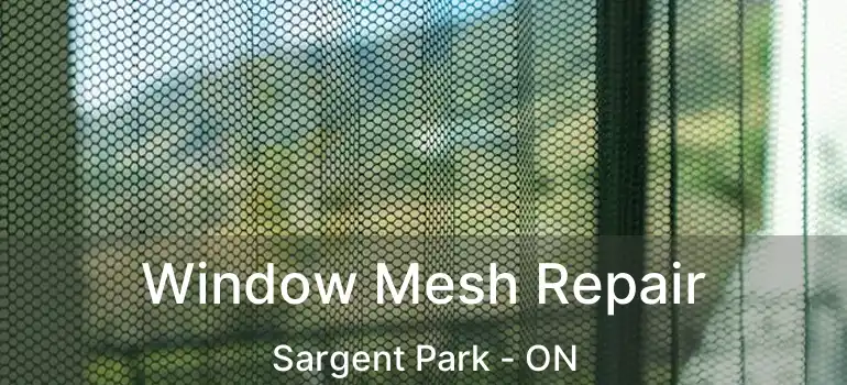  Window Mesh Repair Sargent Park - ON