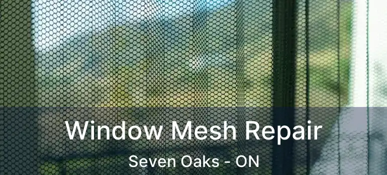  Window Mesh Repair Seven Oaks - ON
