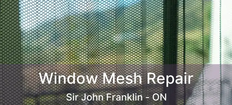  Window Mesh Repair Sir John Franklin - ON