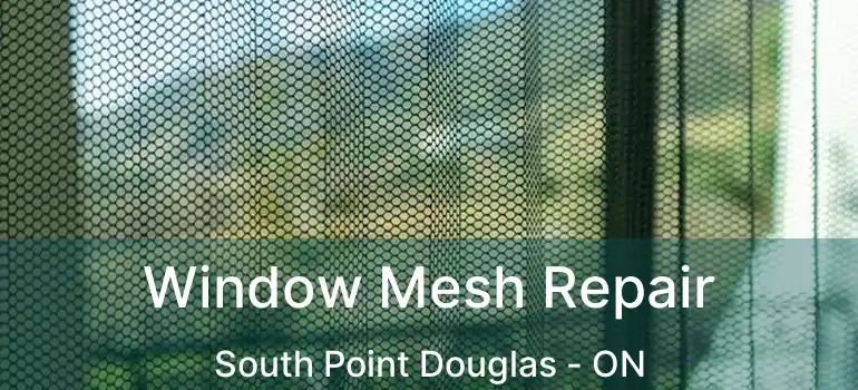  Window Mesh Repair South Point Douglas - ON