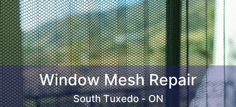  Window Mesh Repair South Tuxedo - ON