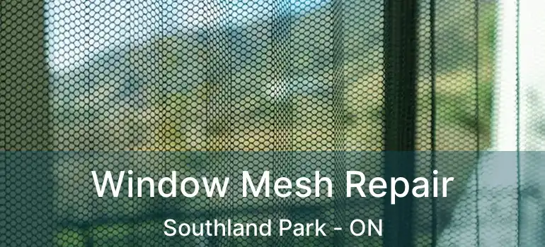  Window Mesh Repair Southland Park - ON