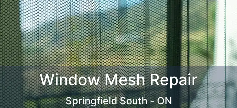  Window Mesh Repair Springfield South - ON