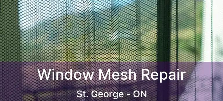  Window Mesh Repair St. George - ON