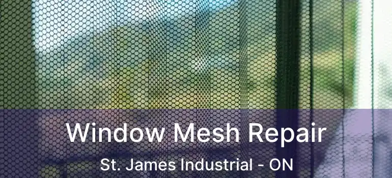  Window Mesh Repair St. James Industrial - ON