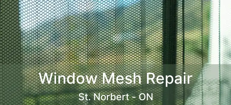  Window Mesh Repair St. Norbert - ON