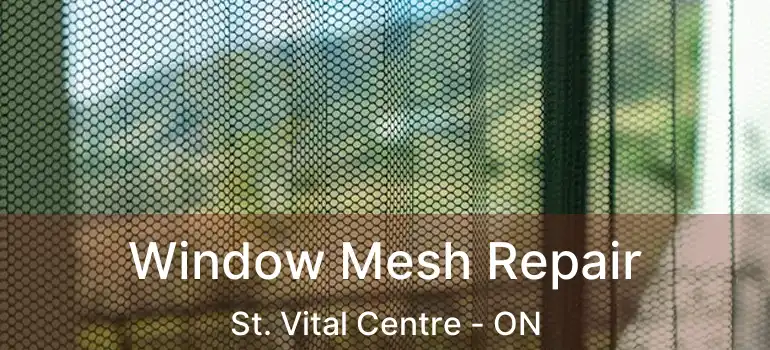  Window Mesh Repair St. Vital Centre - ON
