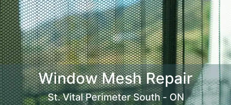  Window Mesh Repair St. Vital Perimeter South - ON