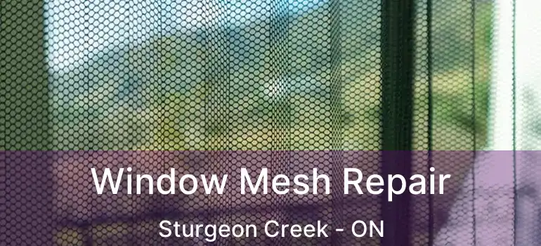  Window Mesh Repair Sturgeon Creek - ON