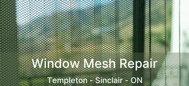  Window Mesh Repair Templeton - Sinclair - ON