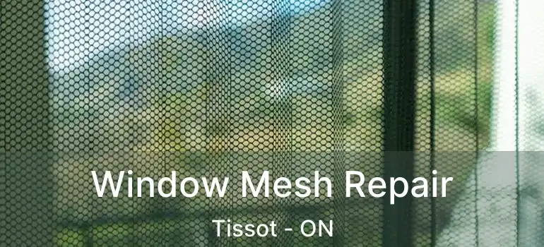  Window Mesh Repair Tissot - ON
