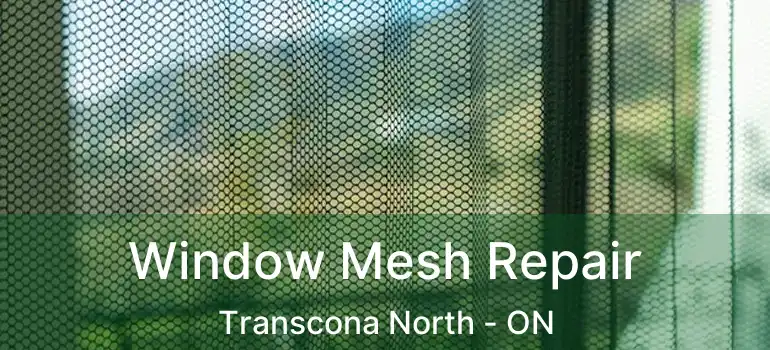  Window Mesh Repair Transcona North - ON