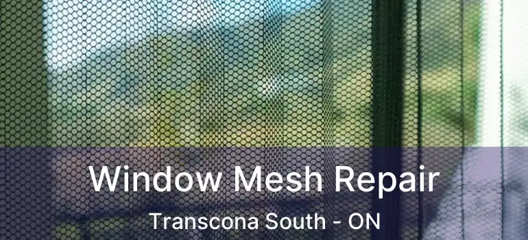  Window Mesh Repair Transcona South - ON