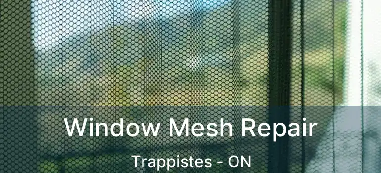  Window Mesh Repair Trappistes - ON