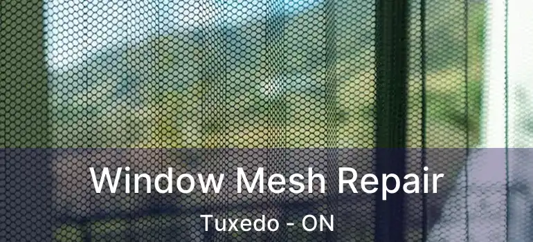  Window Mesh Repair Tuxedo - ON