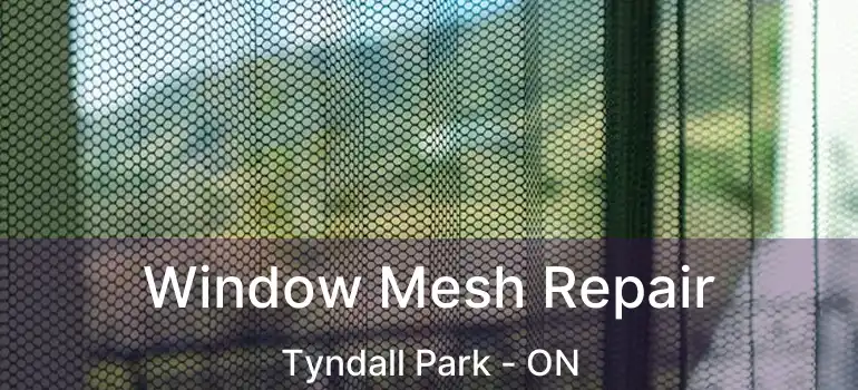  Window Mesh Repair Tyndall Park - ON