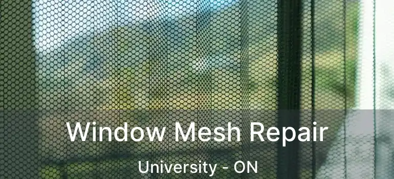  Window Mesh Repair University - ON