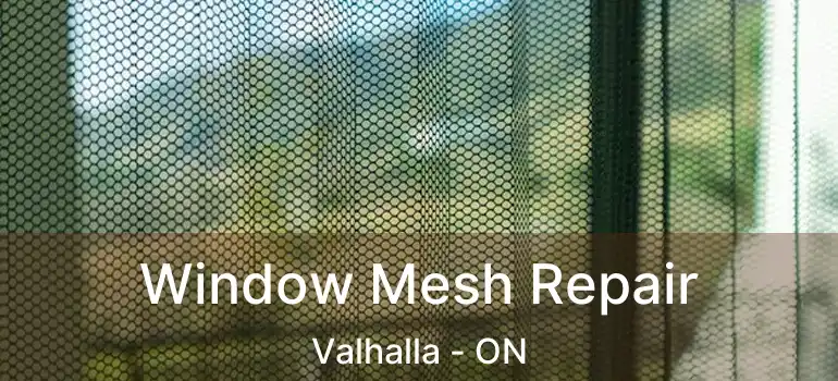  Window Mesh Repair Valhalla - ON