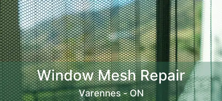  Window Mesh Repair Varennes - ON