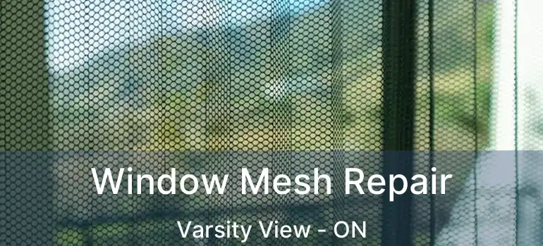  Window Mesh Repair Varsity View - ON