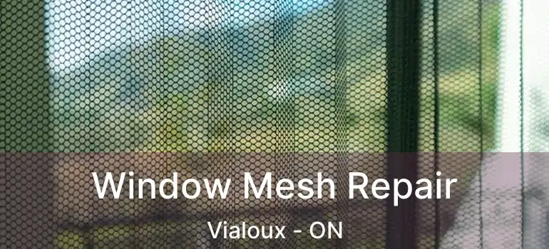  Window Mesh Repair Vialoux - ON